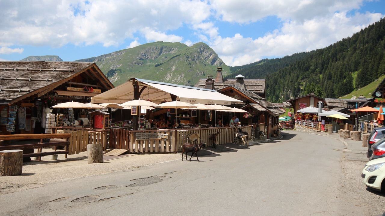 Photo of Others in Montriond