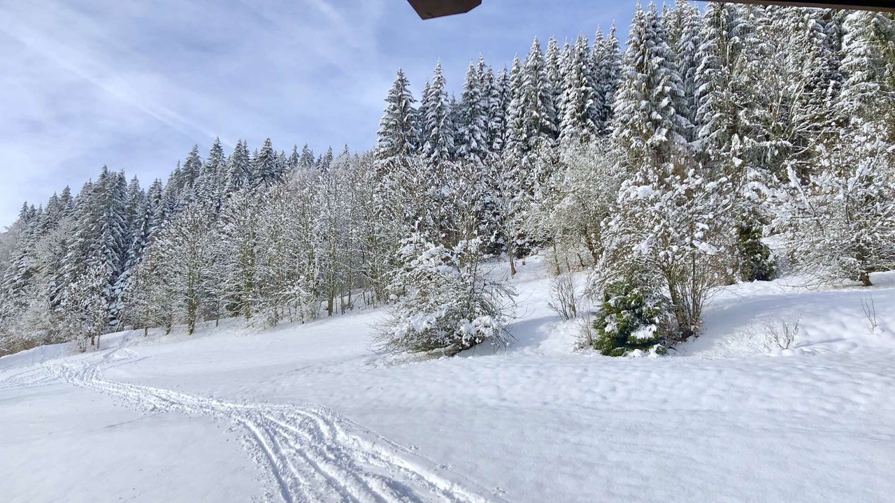 Photo of Outdoor in Morzine
