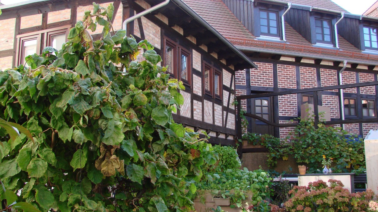 Photo of Outdoor in Wolgast