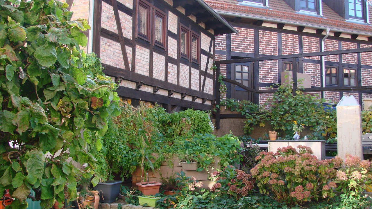 Photo of Outdoor in Wolgast