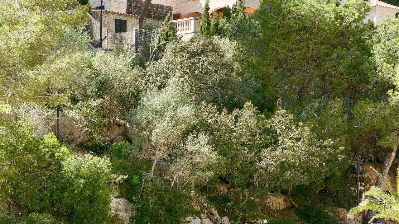 Photo of Outdoor in Cala Santany