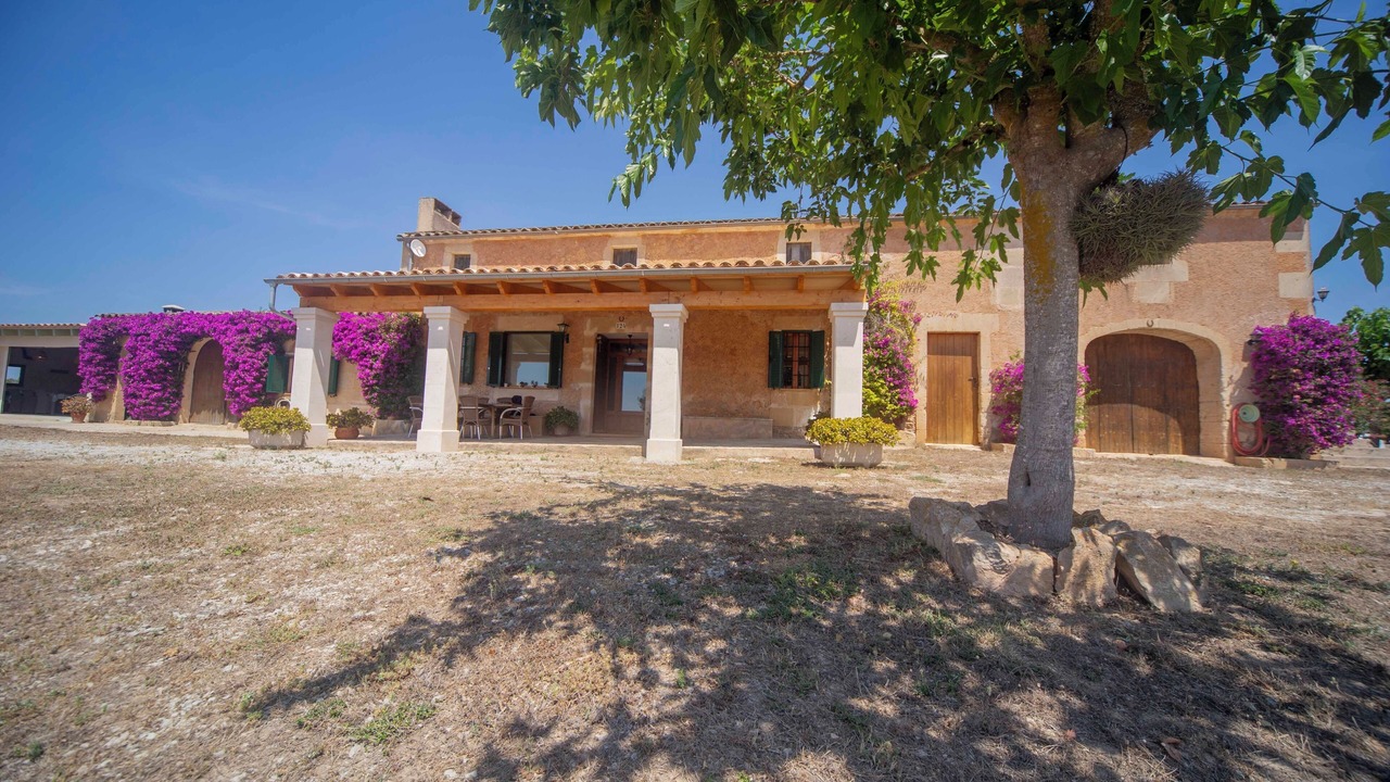 Photo of Outdoor in Felanitx