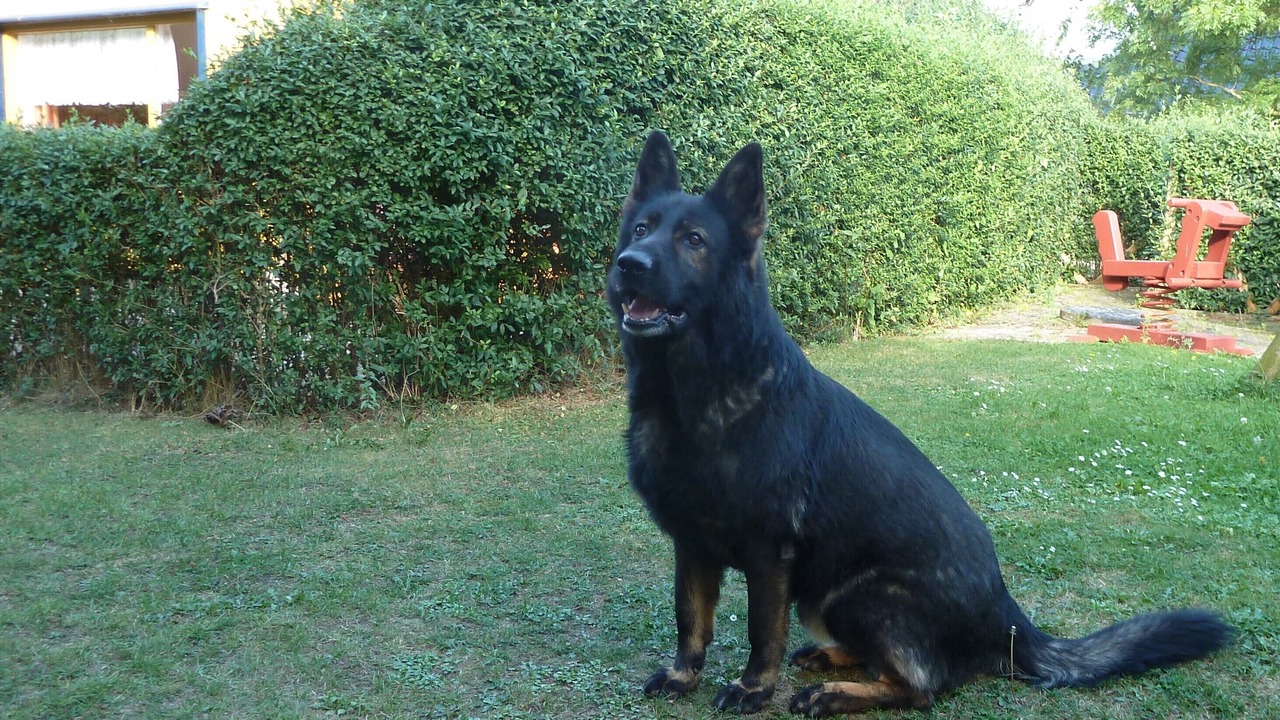 Photo of Outdoor in Thomsdorf