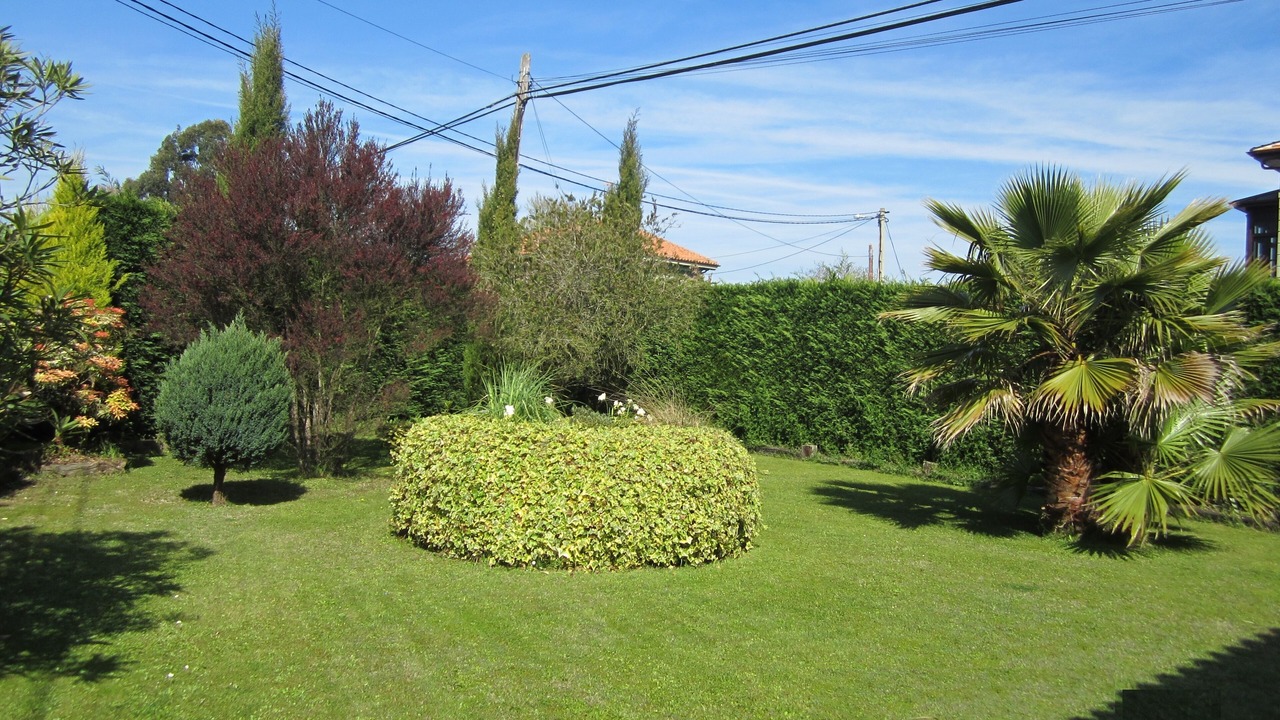 Photo of Outdoor in Naves