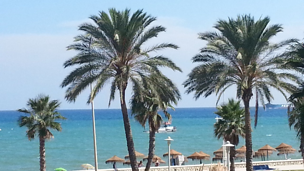Photo of Others in Carretera de Cadiz