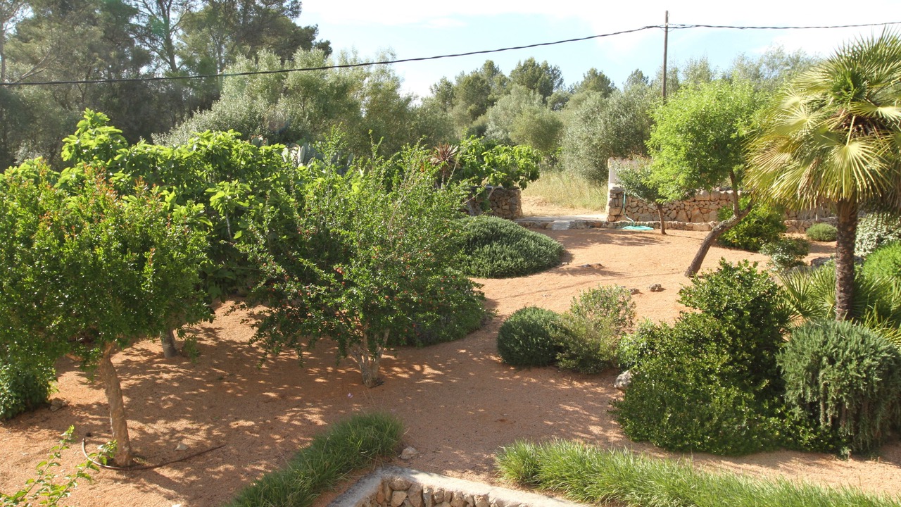Photo of Outdoor in Sencelles