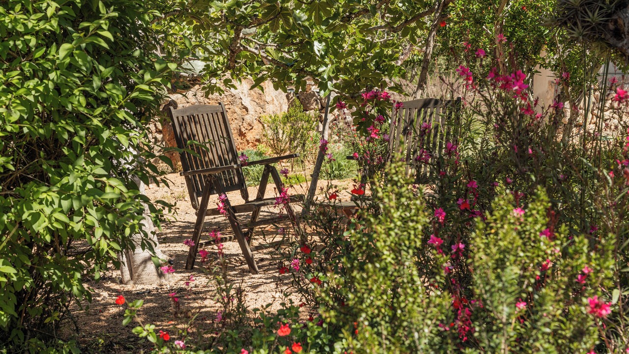 Photo of Patio Balcony in Sencelles
