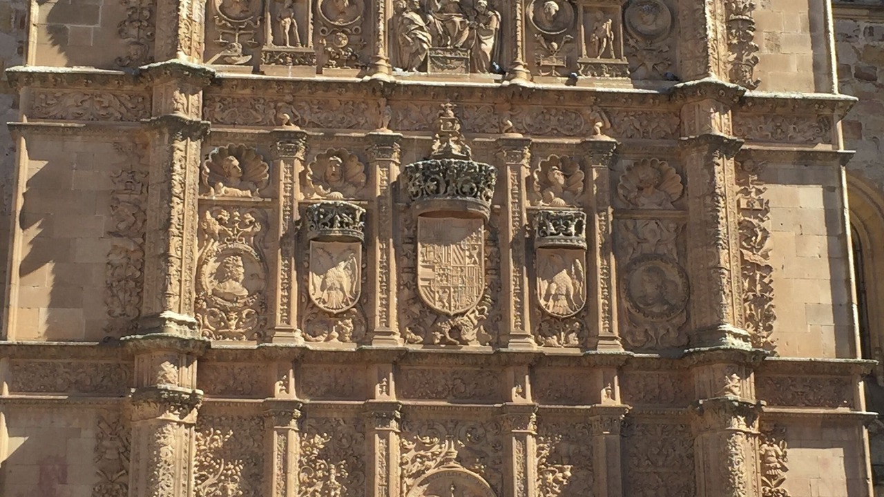 Photo of Others in Garrido Sur