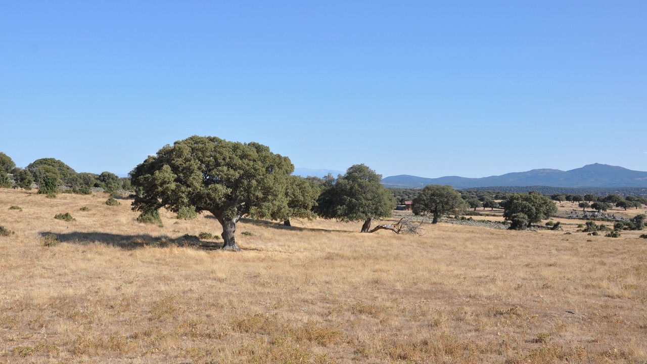 Photo of Others in Garrido Sur