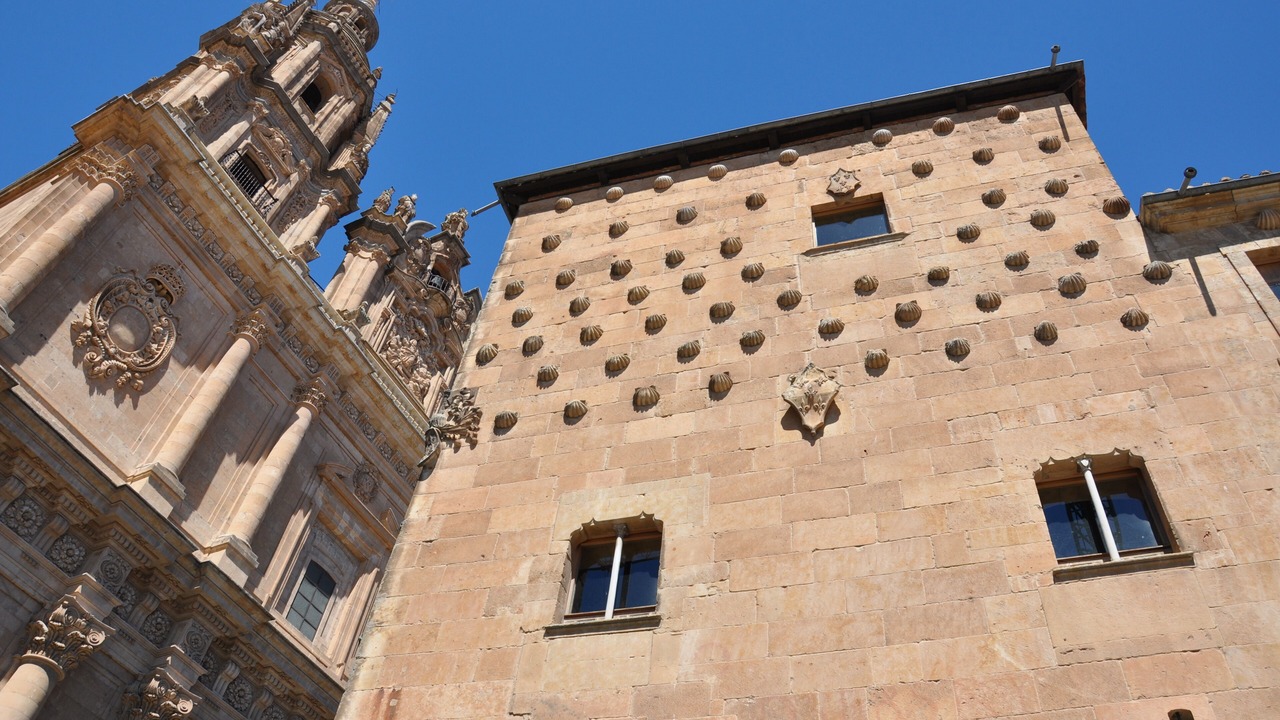 Photo of Others in Garrido Sur