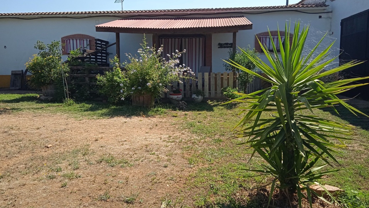 Photo of Outdoor in Alcuescar