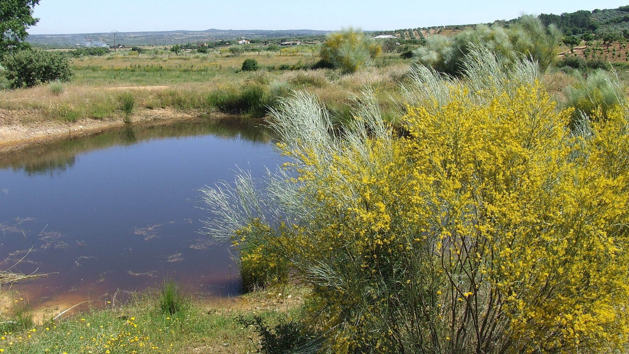 Photo of Outdoor in Alcuescar