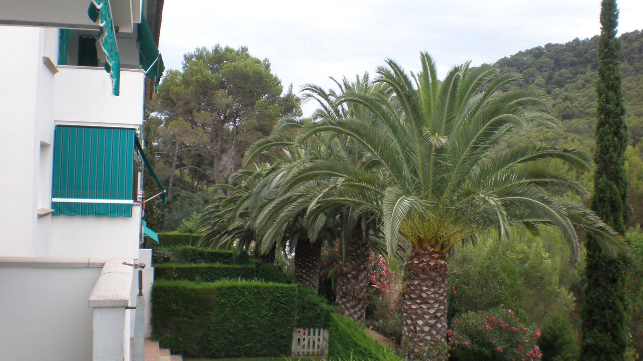 Photo of Outdoor in Tamariu