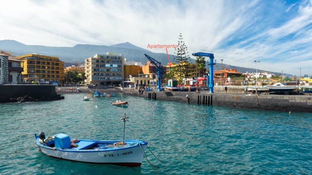 Photo of Others in Puerto de la Cruz