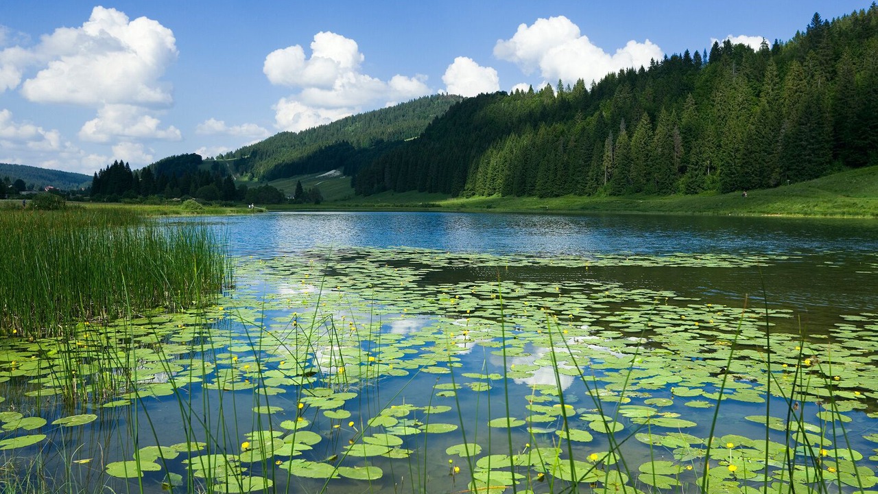Photo of Outdoor in Lamoura