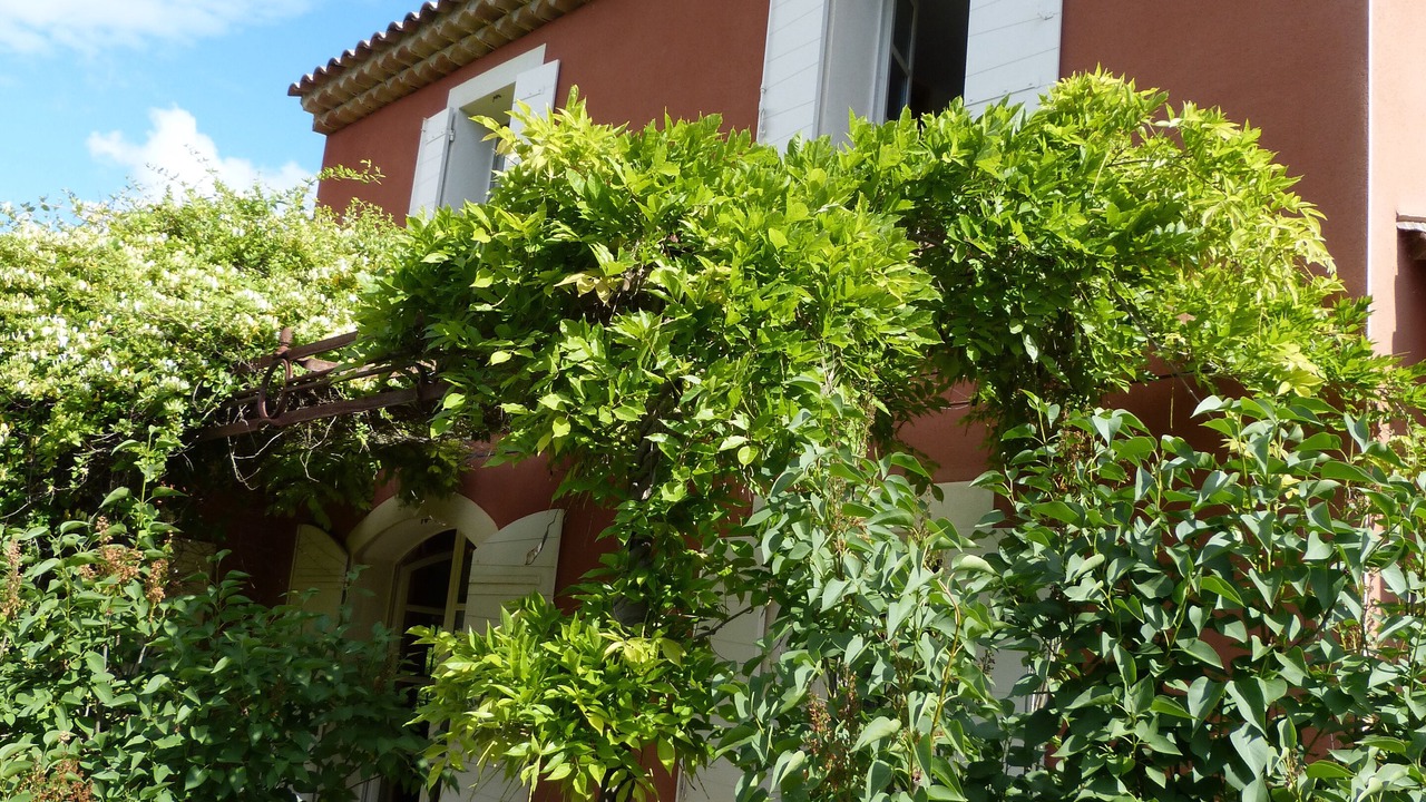 Photo of Outdoor in Gargas