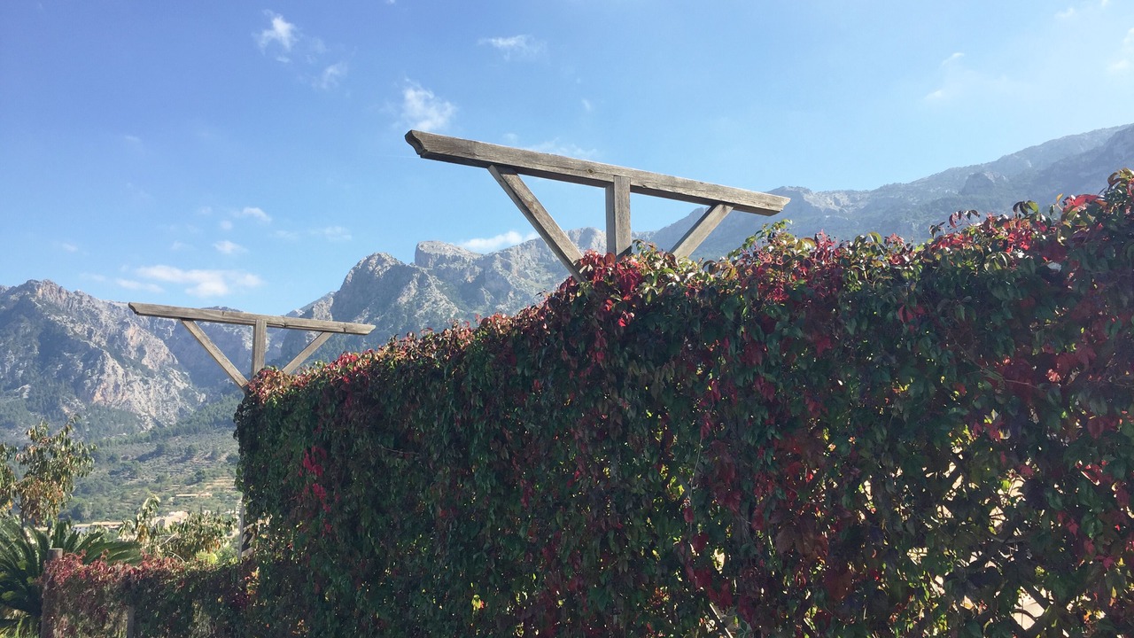 Photo of Outdoor in Soller