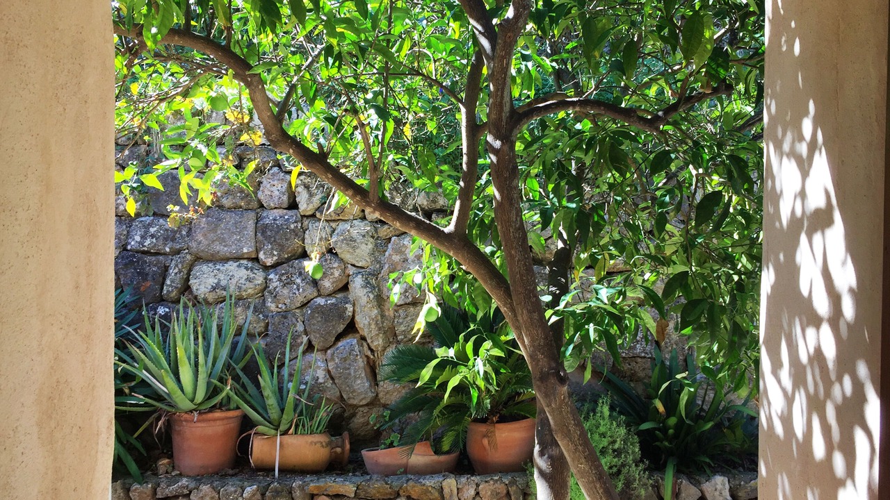 Photo of Outdoor in Soller
