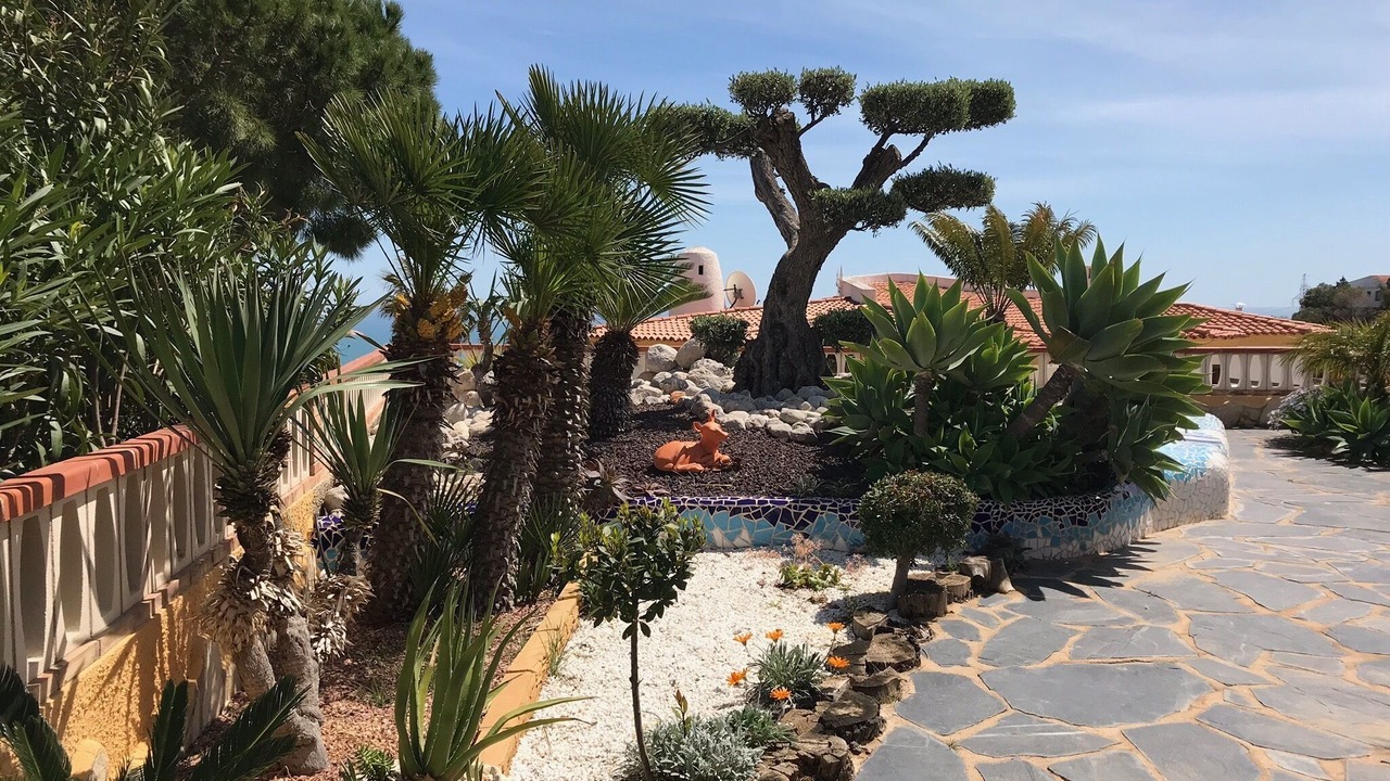 Photo of Outdoor in Peniscola