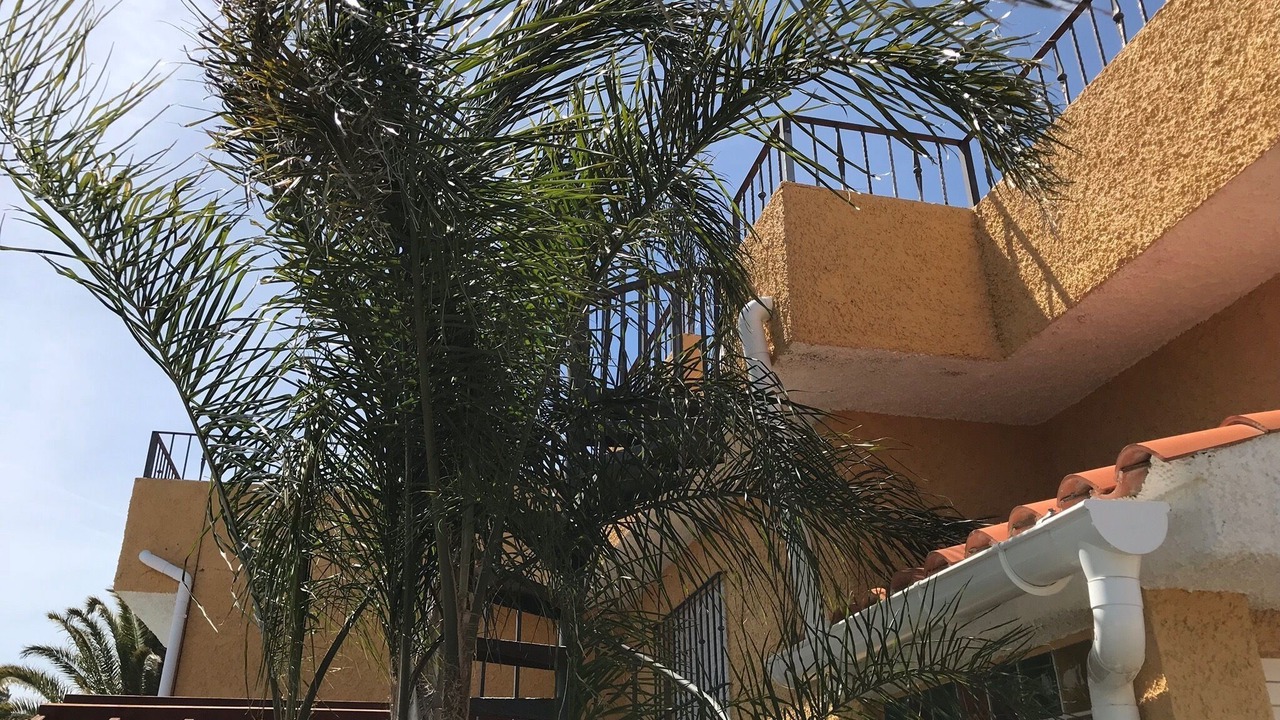 Photo of Outdoor in Peniscola