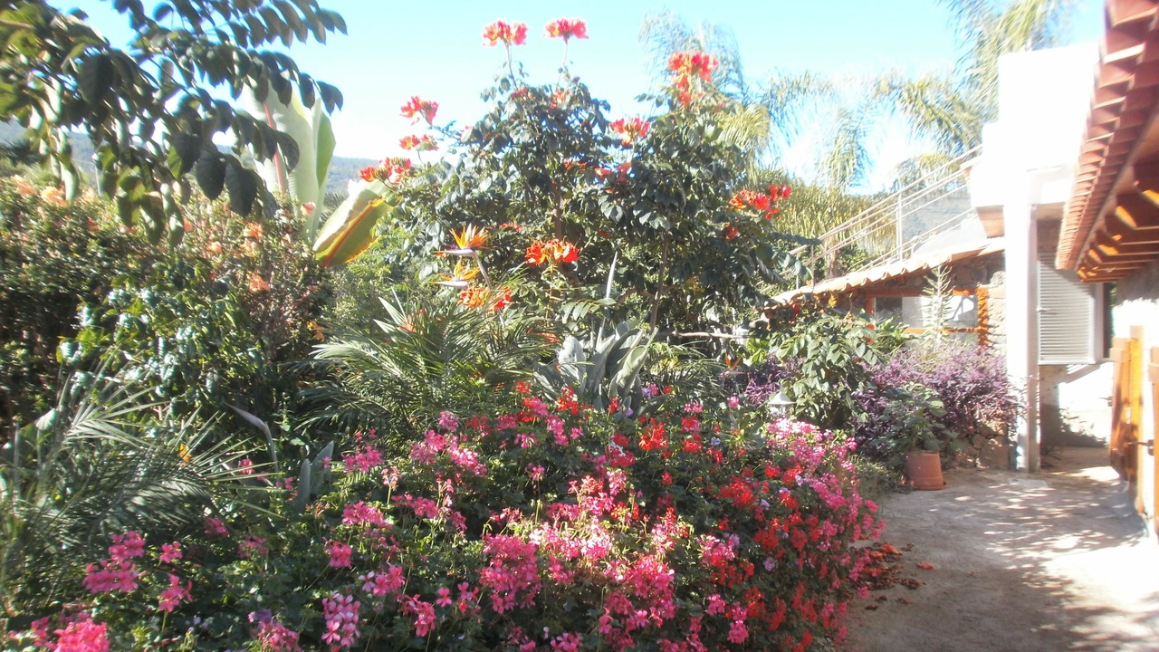 Photo of Outdoor in Cueva del Viento