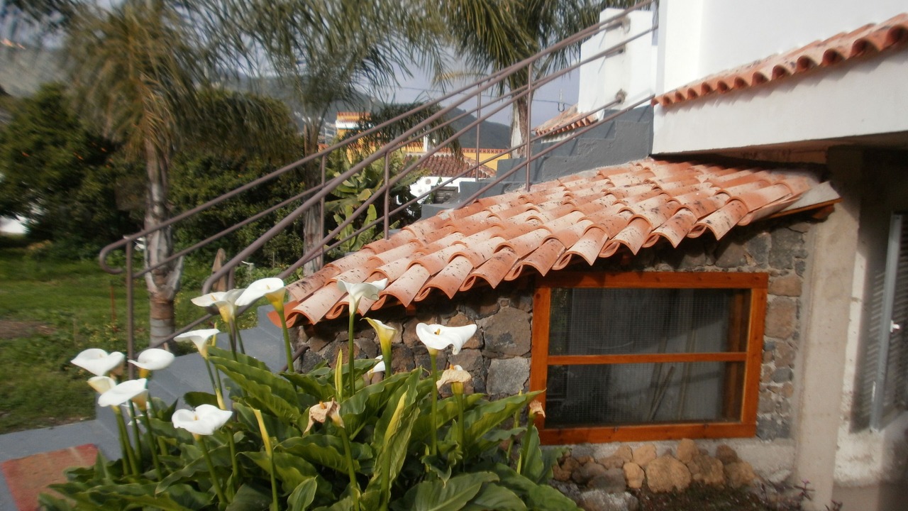 Photo of Outdoor in Cueva del Viento