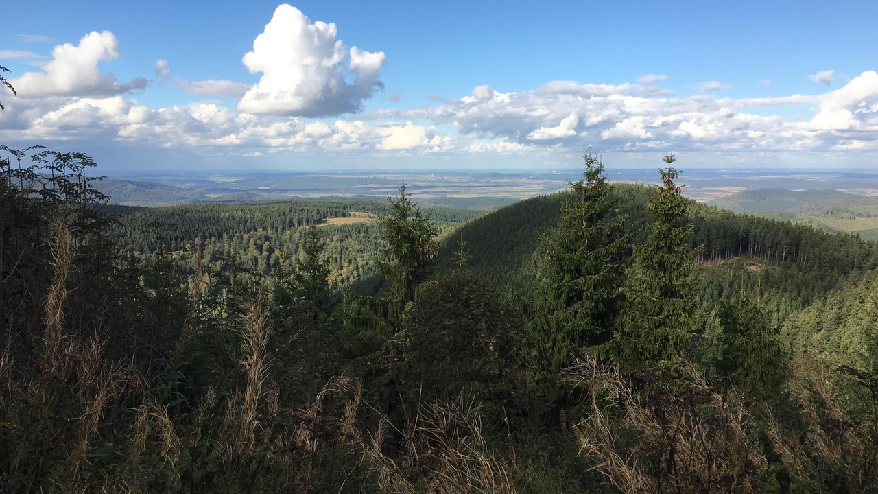 Photo of Outdoor in Hahnenklee