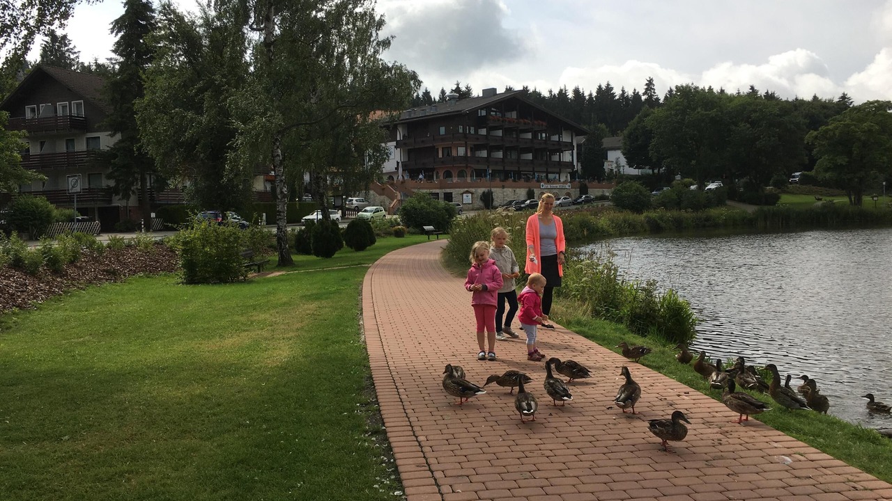 Photo of Outdoor in Hahnenklee