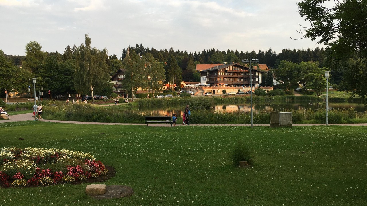Photo of Others in Hahnenklee