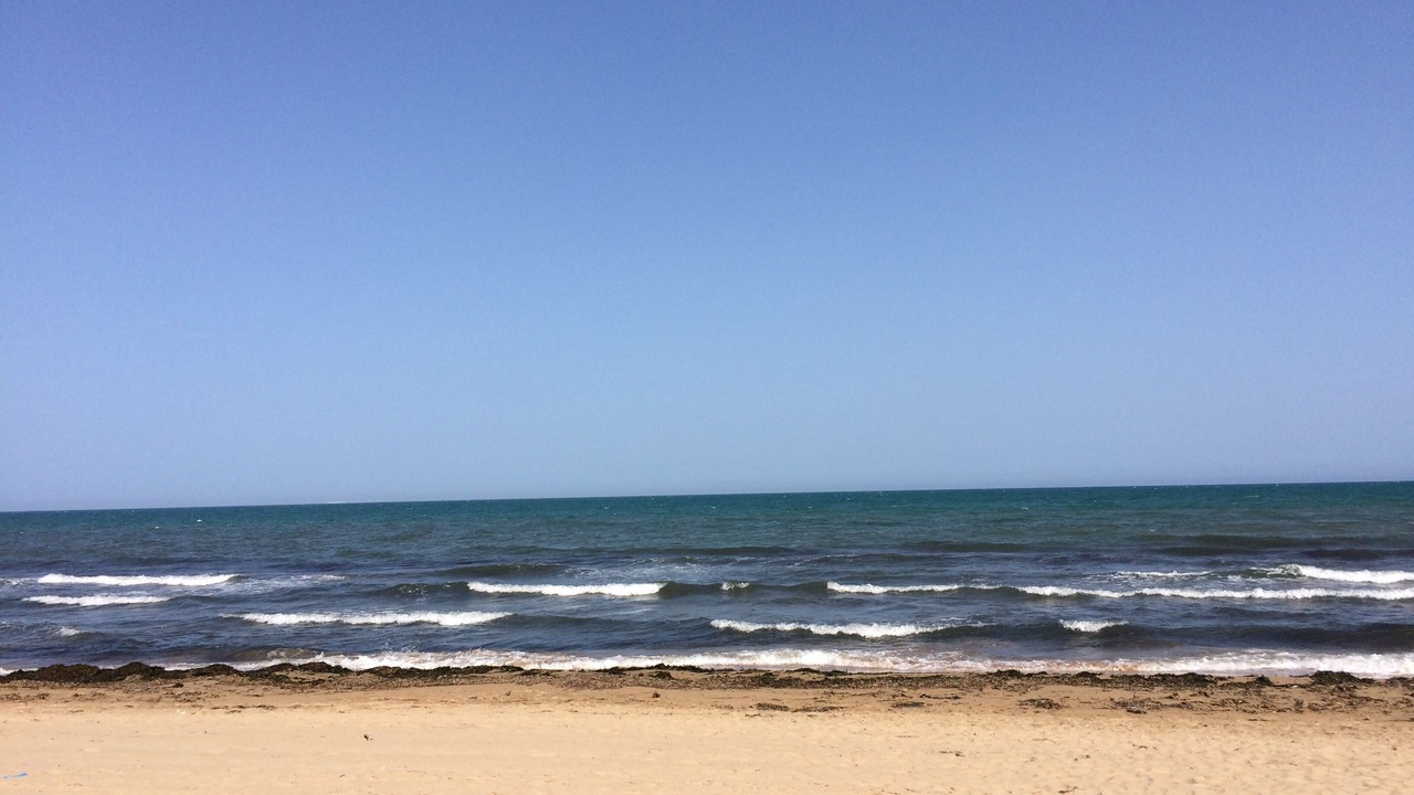 Photo of Others in San Fulgencio