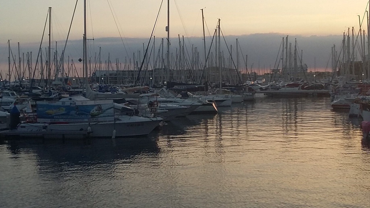 Photo of Others in San Fulgencio