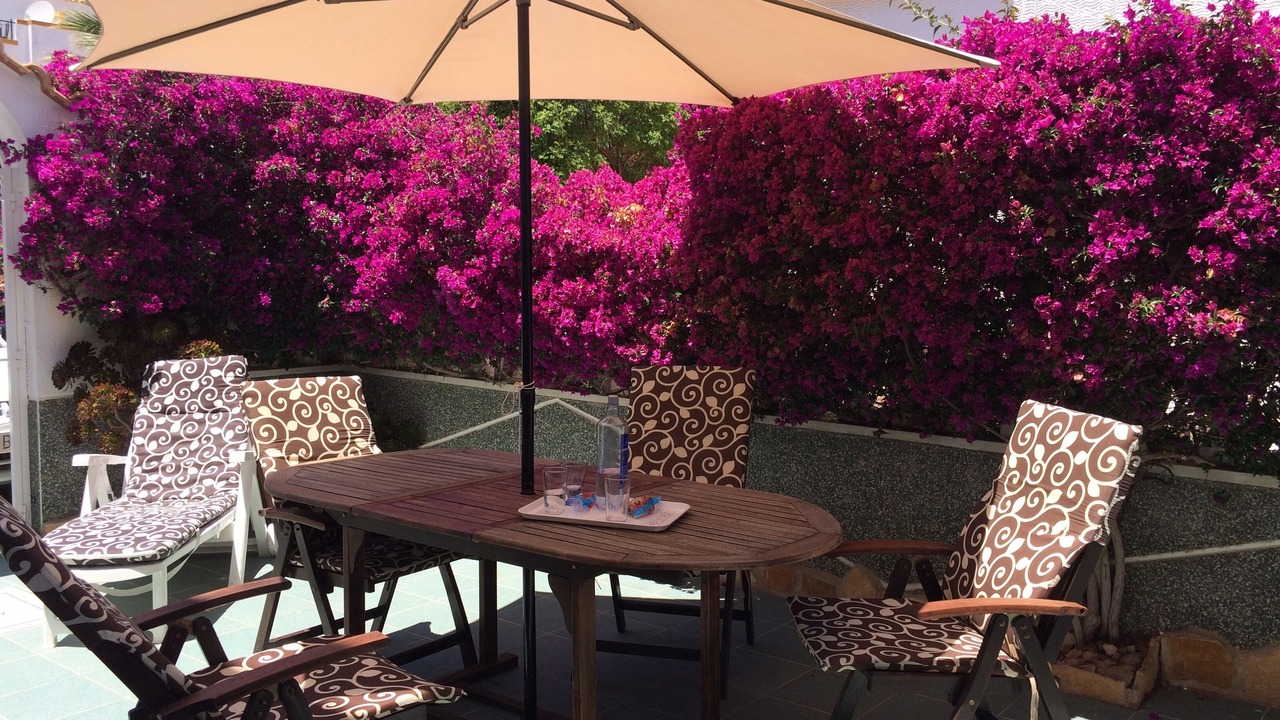Photo of Outdoor in San Fulgencio