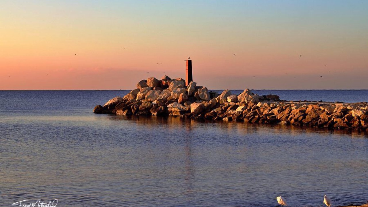 Photo of Others in Torre del Mar