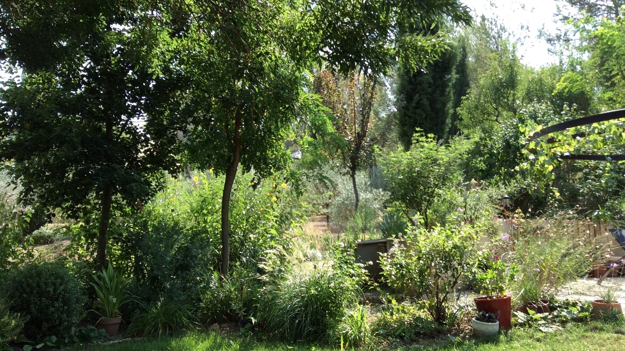 Photo of Outdoor in Fuveau