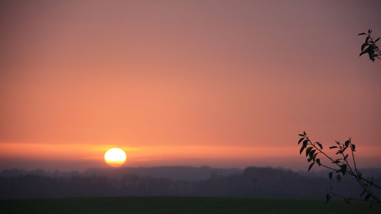 Photo of Others in Rosenhagen