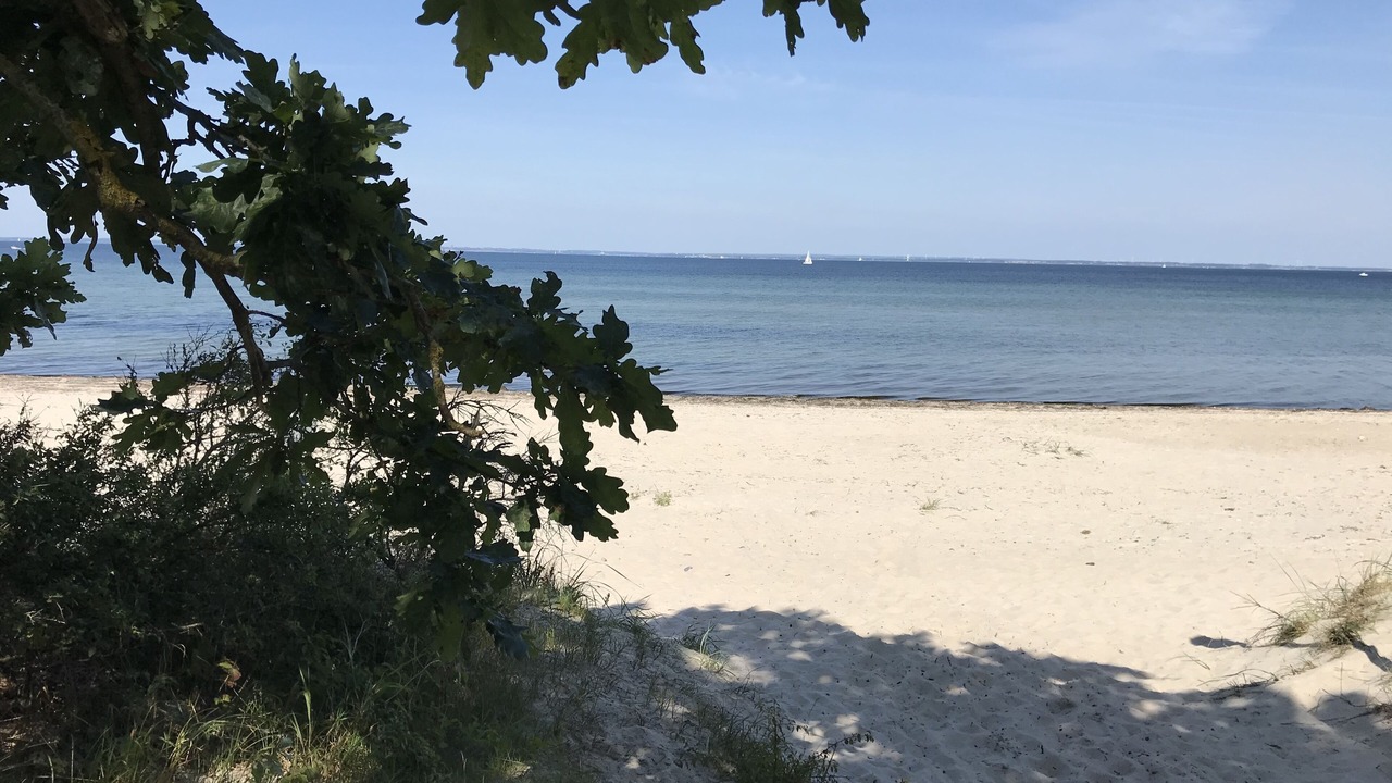 Photo of Others in Rosenhagen