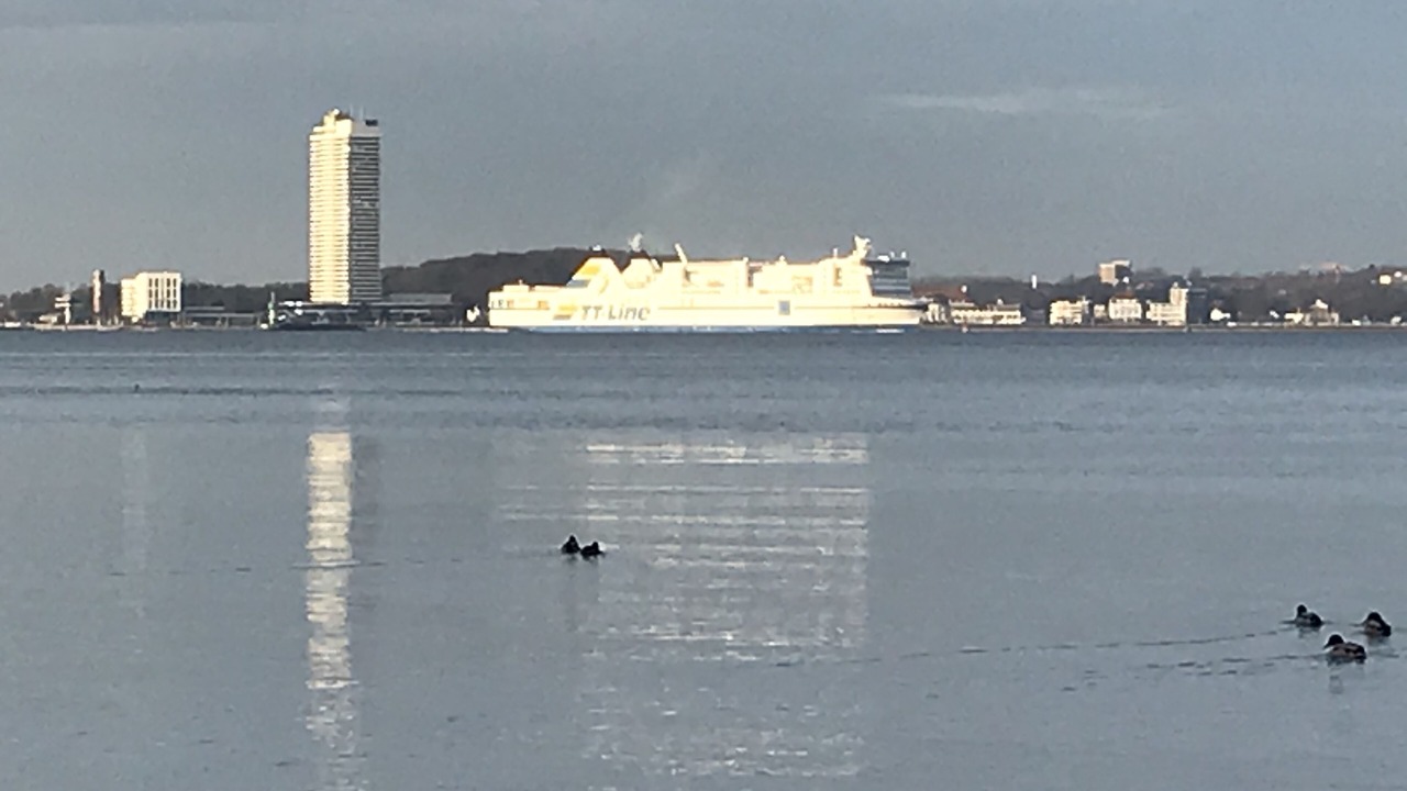Photo of Others in Rosenhagen