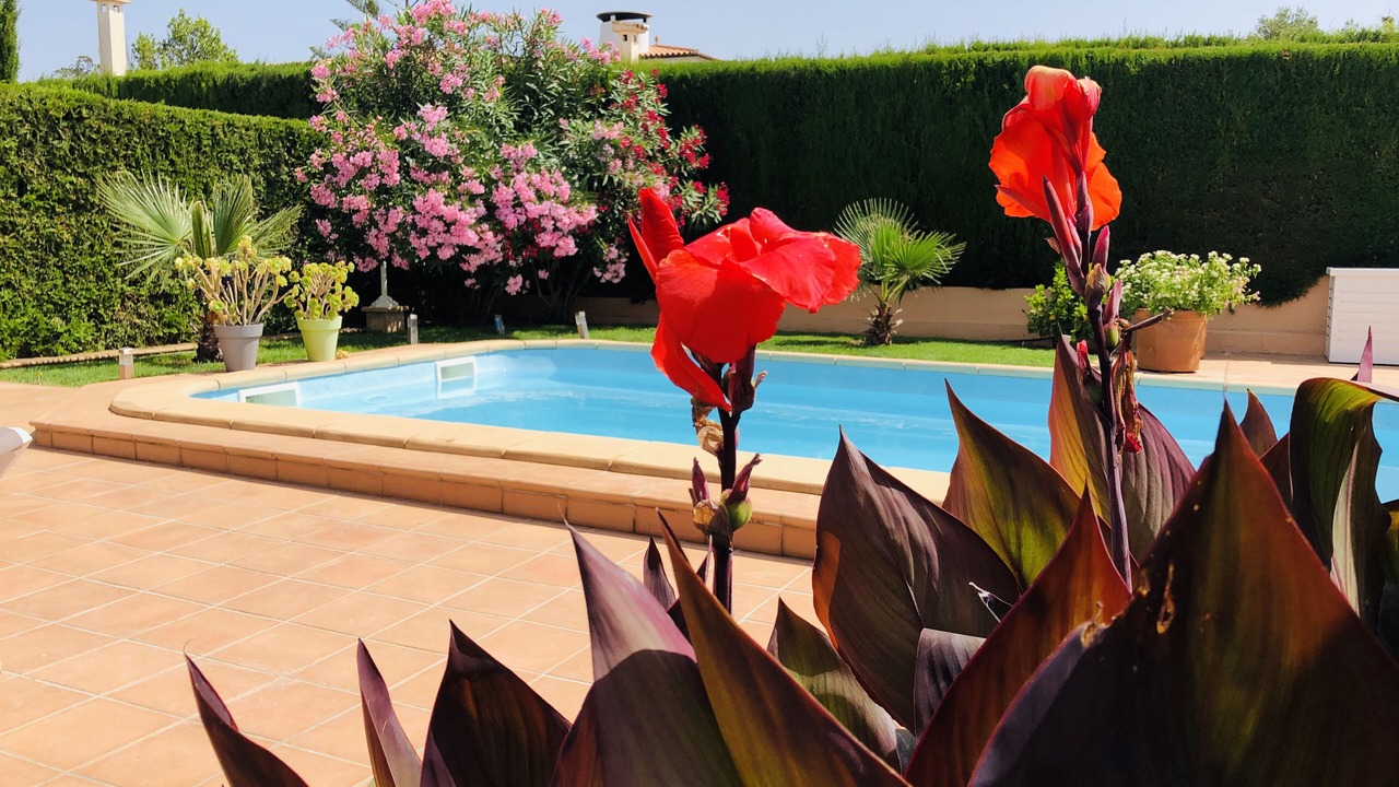 Photo of Outdoor in Porto Cristo Novo