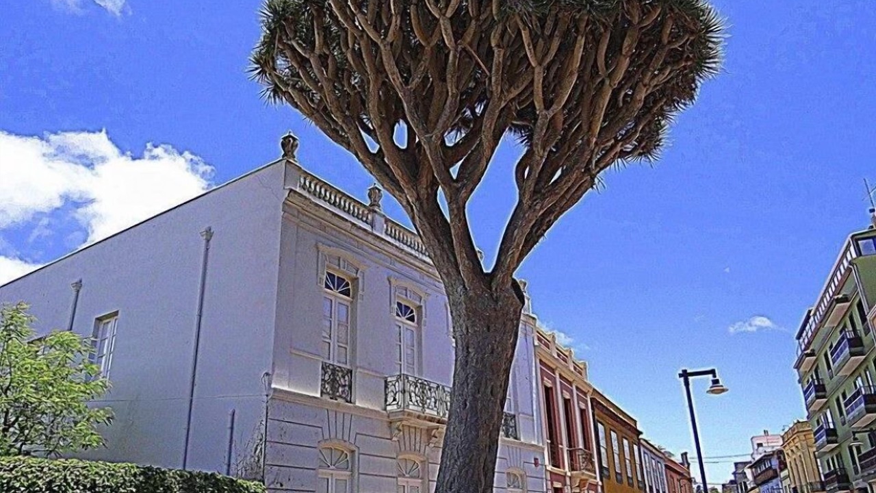 Photo of Outdoor in Historical Center