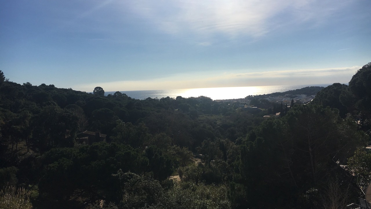 Photo of Others in Lloret de Mar