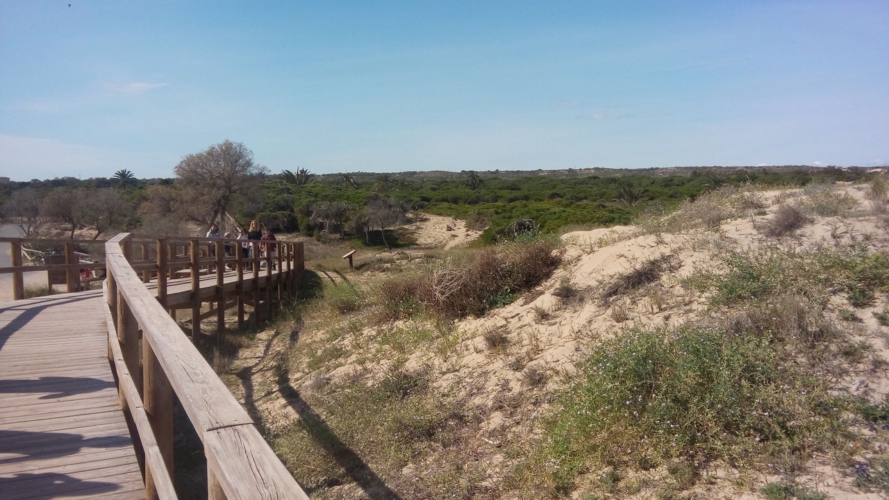 Photo of Others in Orihuela Costa