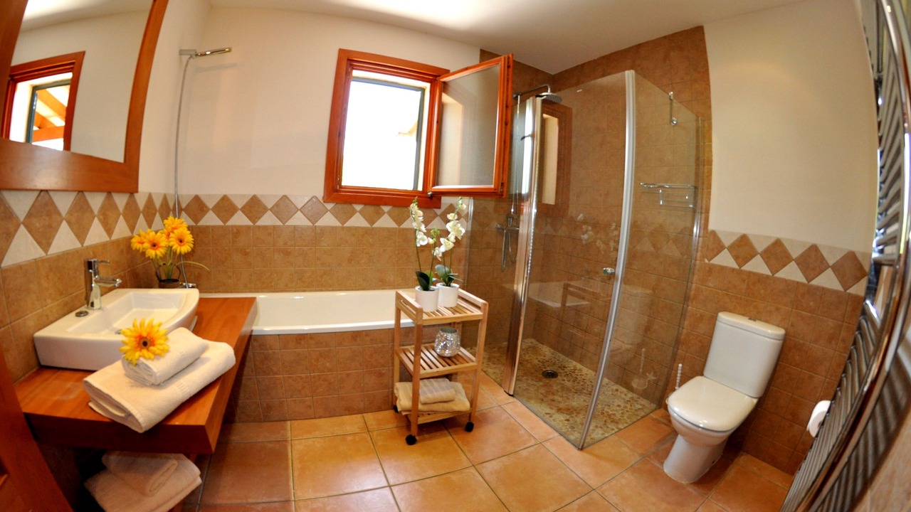 Photo of Bathroom in Sa Pobla