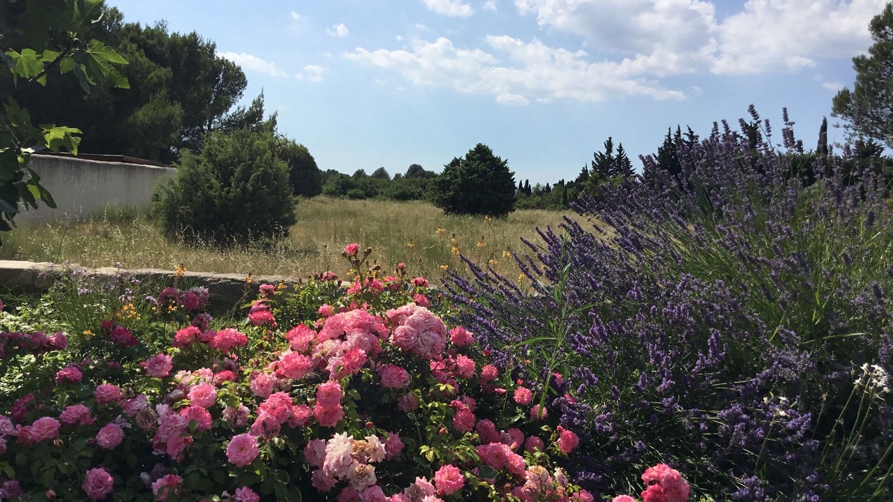 Photo of Outdoor in St.-Remy-de-Provence
