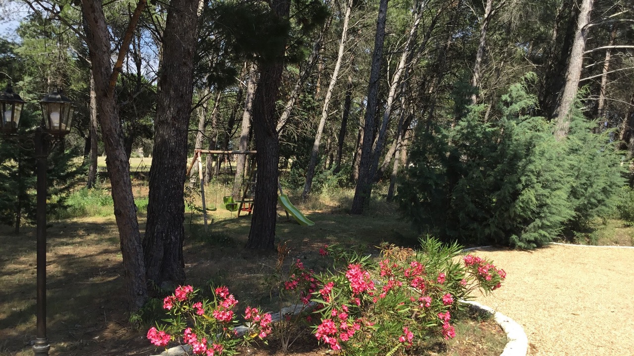 Photo of Outdoor in St.-Remy-de-Provence