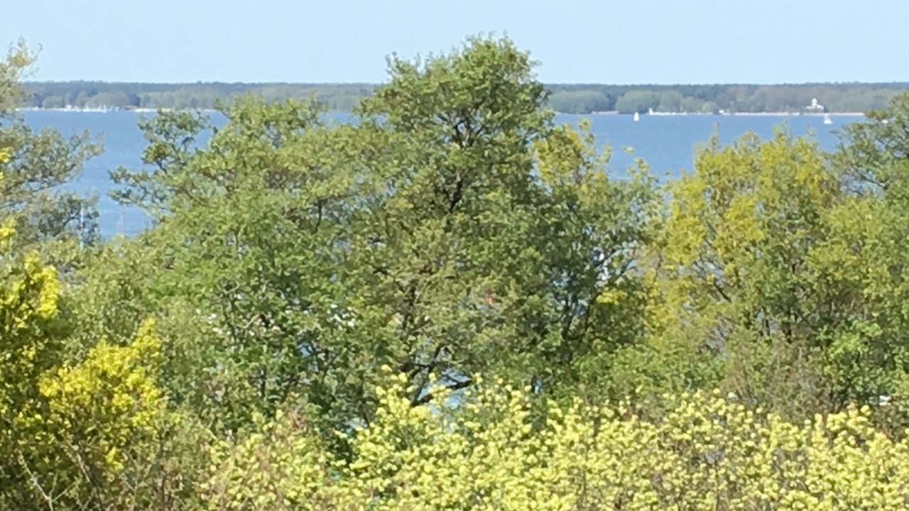Photo of Outdoor in Region Hannover District