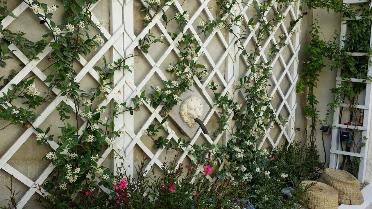 Photo of Outdoor in Avignon City Centre