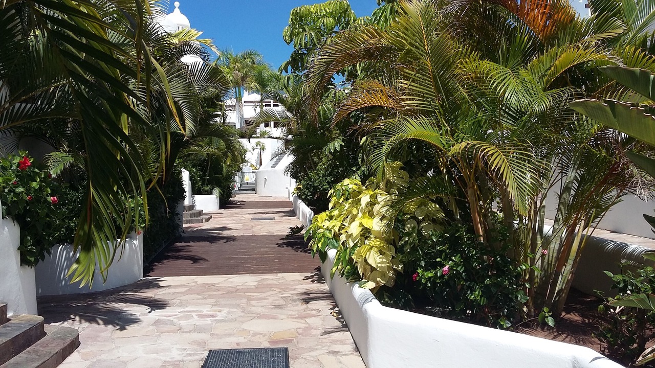 Photo of Outdoor in Costa Adeje