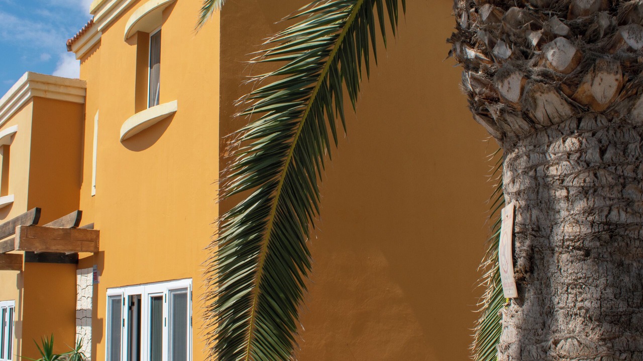 Photo of Outdoor in Corralejo