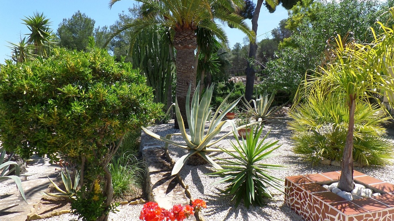 Photo of Outdoor in Benissa Coast