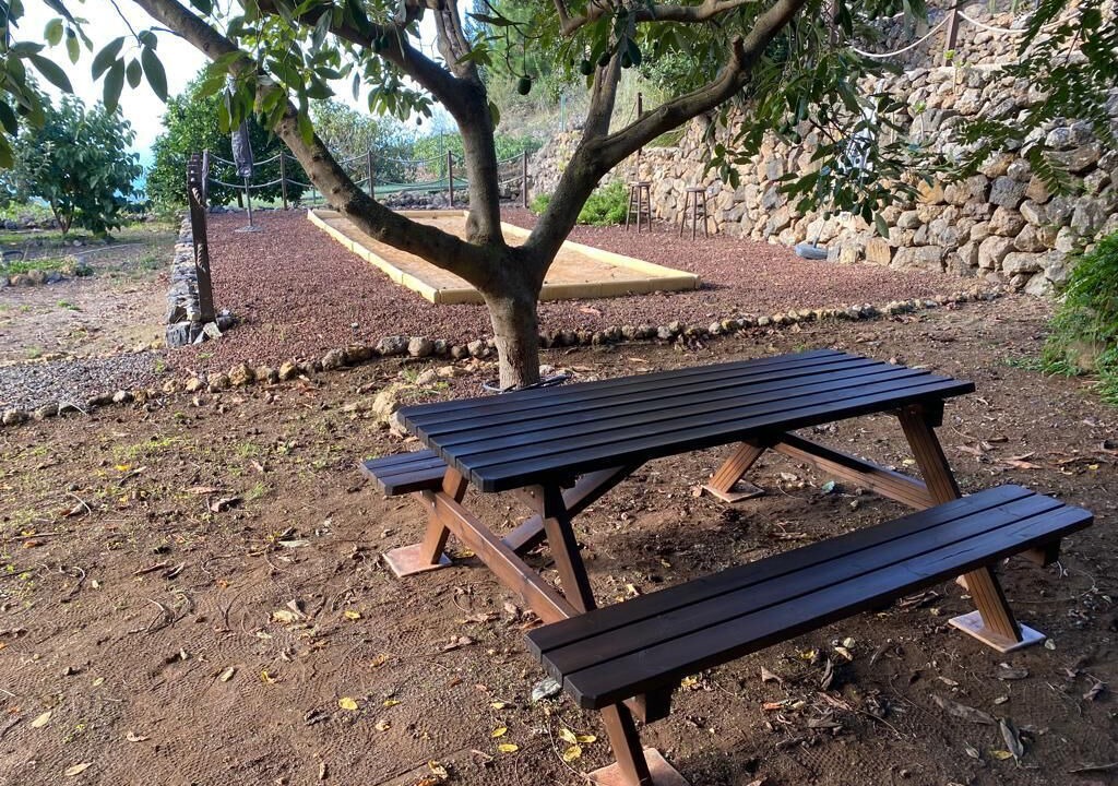 Photo of Outdoor in Icod de los Vinos